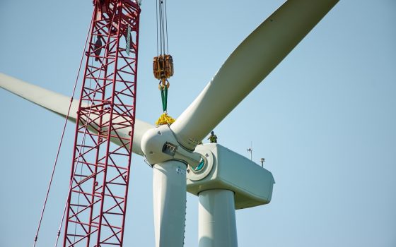 New Economics Briefing: What should a green recovery look like?